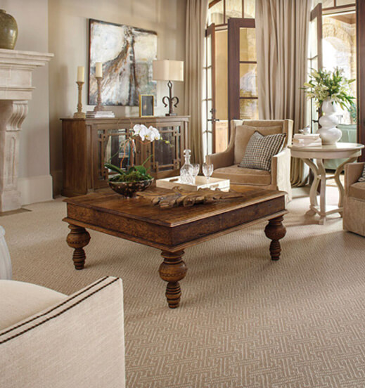 An area rug displayed in a living room
